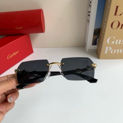Cartier Black  Unisex Pure Titanium Eyeglasses 